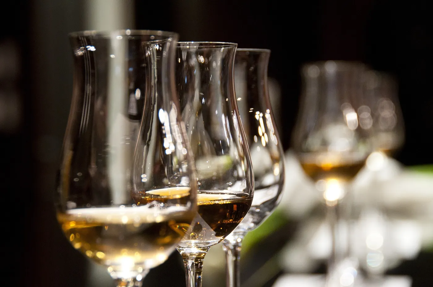 Gastro tours - Beer & wine tasting — Themed Groups